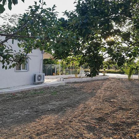 Alibaba Villa Near Airport And Beachダラマン エクステリア 写真