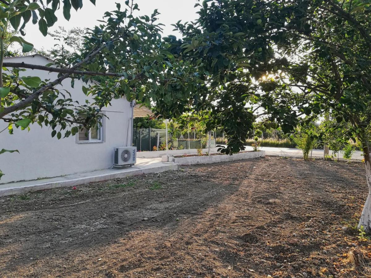 Alibaba Villa Near Airport And Beachダラマン エクステリア 写真