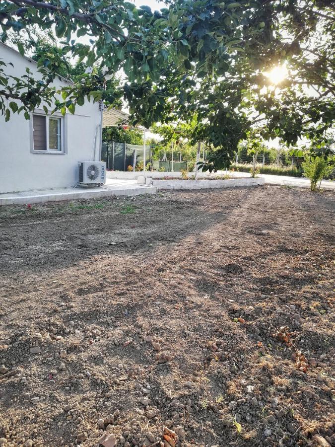 Alibaba Villa Near Airport And Beachダラマン エクステリア 写真