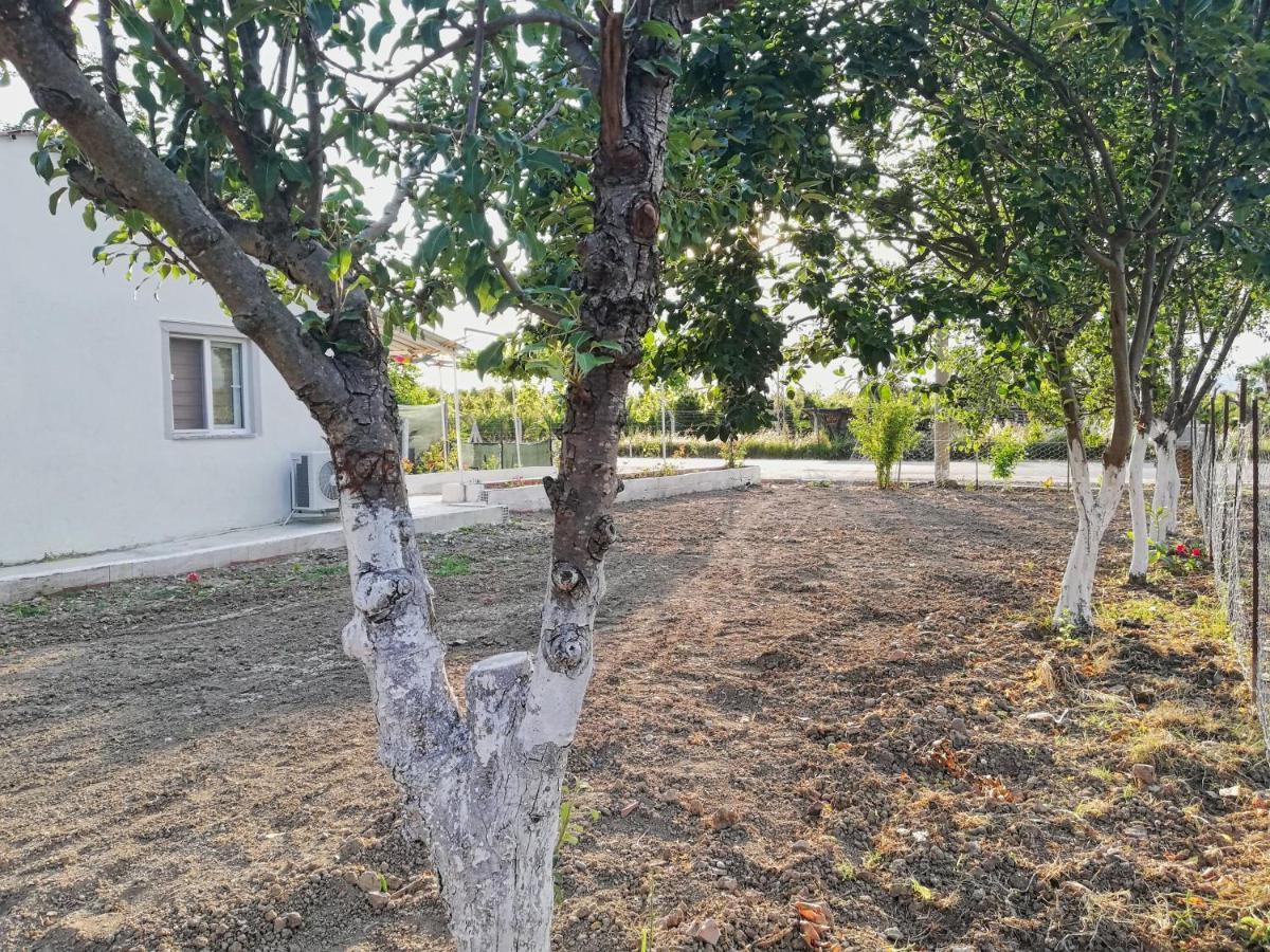 Alibaba Villa Near Airport And Beachダラマン エクステリア 写真