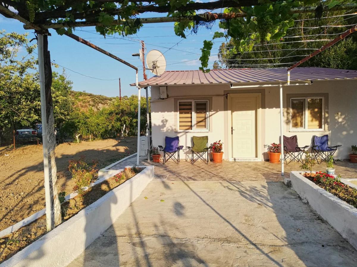 Alibaba Villa Near Airport And Beachダラマン エクステリア 写真