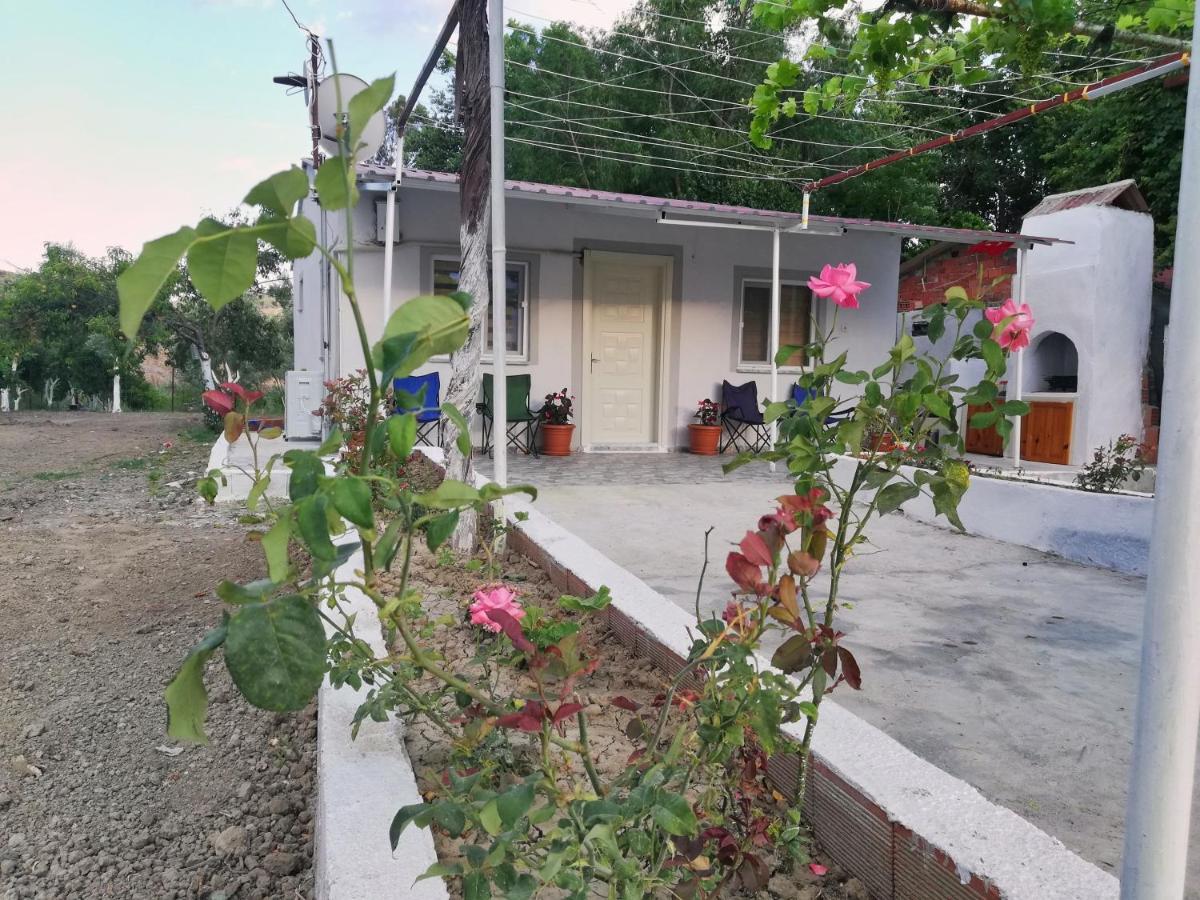 Alibaba Villa Near Airport And Beachダラマン エクステリア 写真