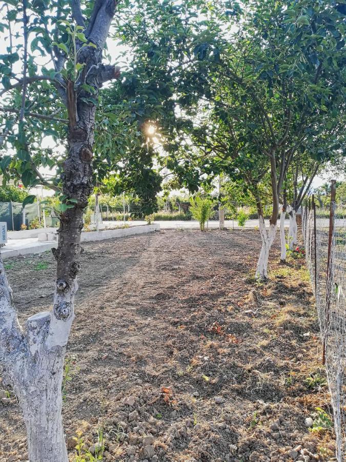 Alibaba Villa Near Airport And Beachダラマン エクステリア 写真